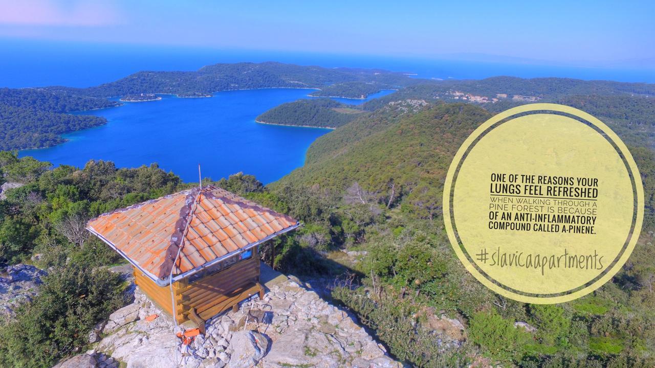 Apartments Slavica Pomena Εξωτερικό φωτογραφία
